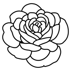 Hand drawn simple flower illustration