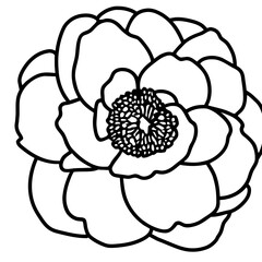 Hand drawn simple flower illustration