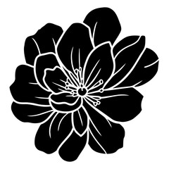 Hand drawn simple flower illustration