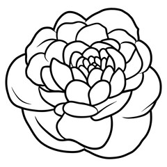 Hand drawn simple flower illustration