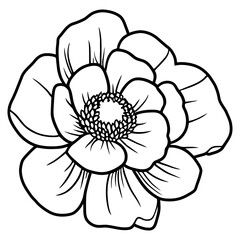 Hand drawn simple flower illustration