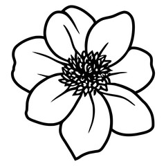 Hand drawn simple flower illustration