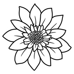 Hand drawn simple flower illustration