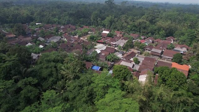 aerial view of residential areas in the middle of the forest