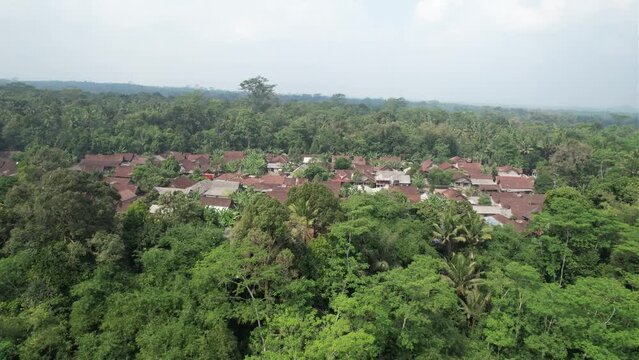 The drone approaches a residential area in the middle of the forest