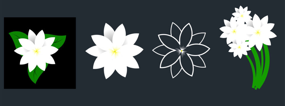 Jasmine flower set, Jasmine flower and leaves design isolated on white background, Vector illustration. © CF ID-7125198 SANJIB