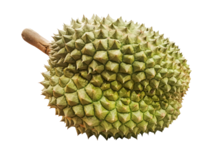 King of Fruits Black Thorn Durian in transparent background