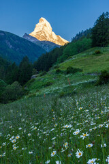 Matterhorn seen from Zermatt at sunrise when the mountain is turning golden