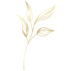 hand drawn golden leaf branch