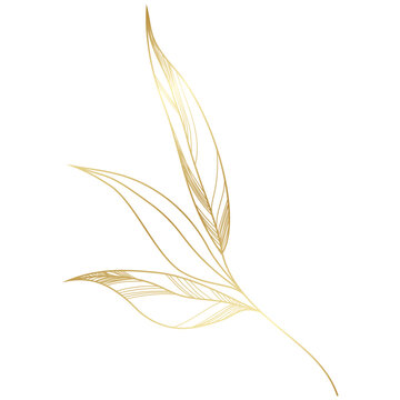 hand drawn golden leaf branch