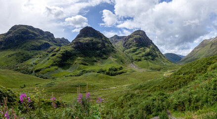 The green mountains Ballachulish Glencoe Scotland with heather flowers in the foreground.