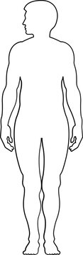 illustration of a human body, outline vector