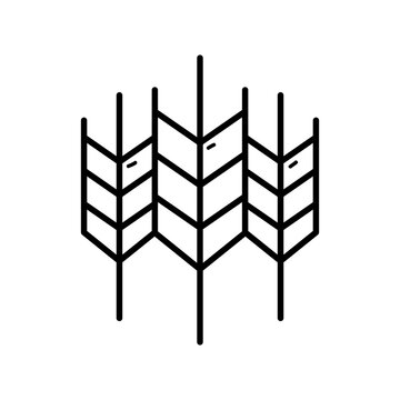 recommend clip art: wheat grass line icon logo vector image