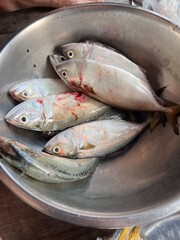 fresh from the sea, short mackerels from the Gulf of Thailand