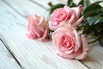 Elegant Bloom: Beautiful Pink Roses on White Wooden Background, Floral Serenity, Timeless Elegance
