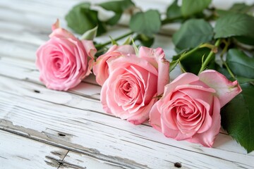 Elegant Bloom: Beautiful Pink Roses on White Wooden Background, Floral Serenity, Timeless Elegance
