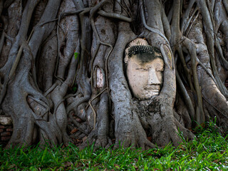 Buddha head. Ayutthaya. Thailand. Wat Maha That.