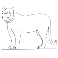 Continuous one-line drawing. Tiger jumping. Vector illustrations
