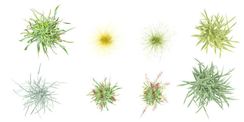 Jungle Switchgrass,Lovegrasses,Lemongrass,Forsythia Plant shapes cutout 3d render png set from top view