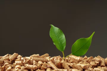 Foto op Aluminium Wood pellets biofuel pile on gray background © fotofabrika