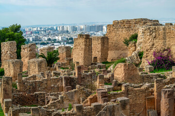 Vue sur Tunis depuis le site archéologique de Carthage
