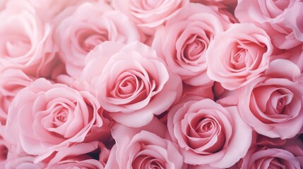 Fototapeta premium Blooming roses on a festive background