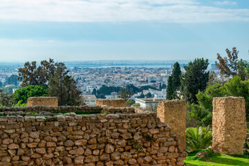 Fototapeta na wymiar Vue sur la baie de Tunis depuis le site archéologique de Carthage