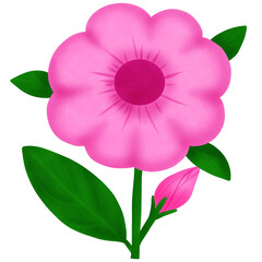 pink  flower