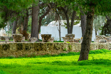 Fototapeta na wymiar Le site archéologique de Carthage