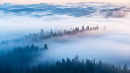 Foto op Plexiglas Mistig bos misty morning in the mountains Landscapes Through the Lens of Aerial Photography
