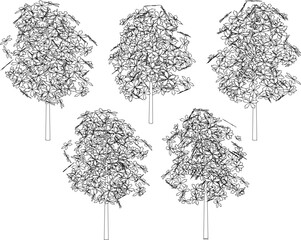 Vector sketch illustration of tree plant design with flowers © nur