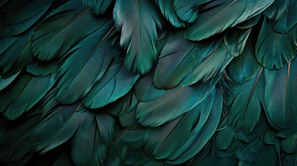 Fotobehang Beautiful dark green viridian vintage color trends feather texture background © Sasint