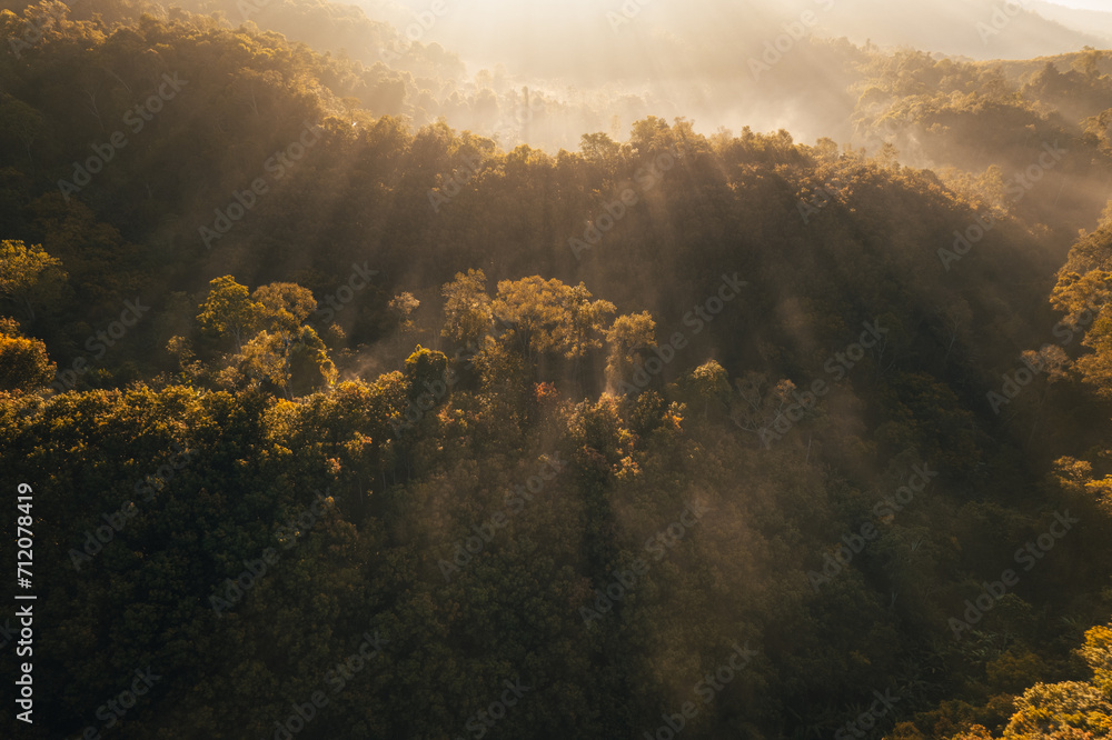 Wall mural aerial view of forest and mountain in fog with golden sunbeams at sunrise