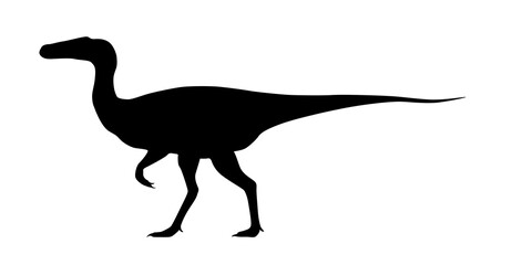 silhouette of a dinosaur on a white background