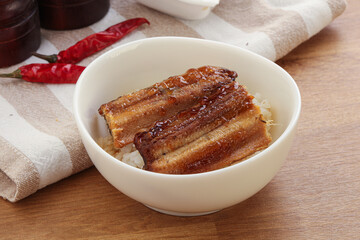 Roasred eel with steamed rice