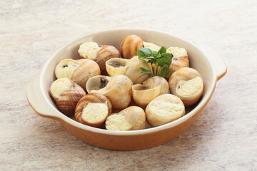Delicous baked snail with butter - Escargot