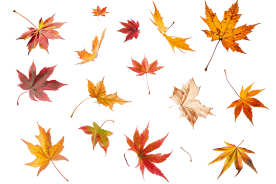 autumn leaves seamless pattern