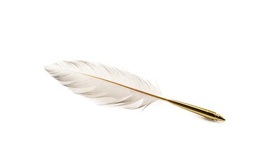 A Set of Quills for Timeless Writing on White or PNG Transparent Background