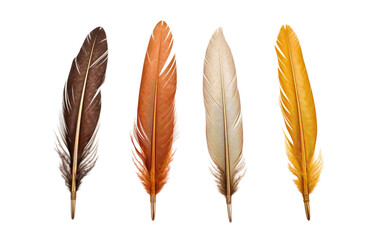 Embrace Tradition with Feather Quill Pens on White or PNG Transparent Background