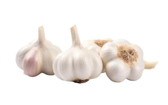 Enhancing Recipes with the Versatility of Garlic on White or PNG Transparent Background