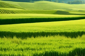 Obraz premium Picture a mesmerizing landscape—a field stretching as far as the eye can see, covered in lush, green wheat ears dancing beneath the flawless sunlight.