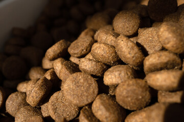 Pet food. Dog food in storage box