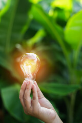 light bulbs green on background