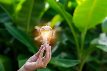 light bulbs green on background