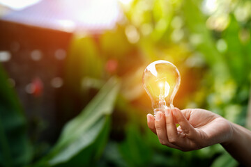 light bulbs green on background