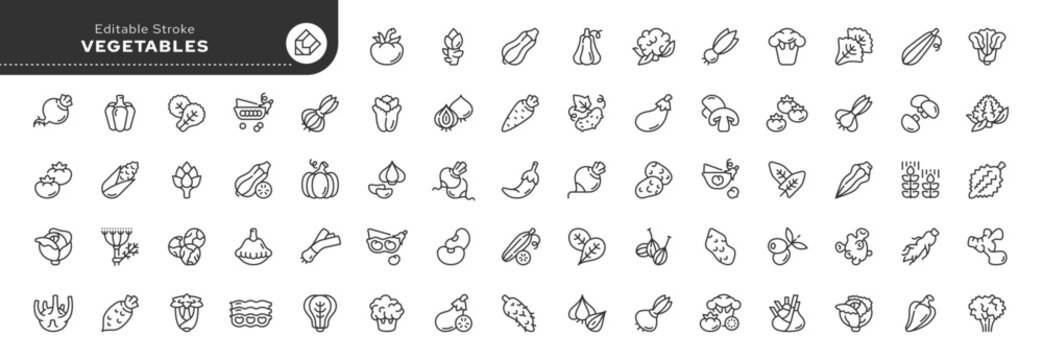 Set of line icons in linear style. Set - Vegetables and veggies. Natural fresh vegetables and root vegetables. Vegetarian food. Outline icon collection. Pictogram and infographic. Editable stroke.	