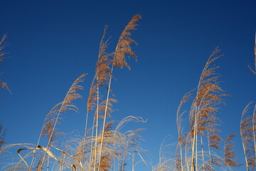 荒川周辺02