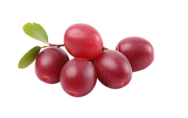 Elevate Your Palate with the Unique Taste of Hog Plum on White or PNG Transparent Background
