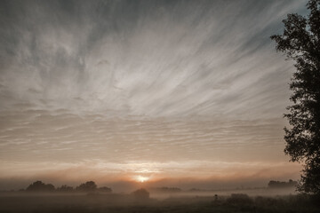 This image conveys the soft grace of dawn as it gently unfolds over a misty countryside. The sky is...