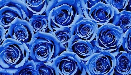 Indigo blue roses bouquet background 